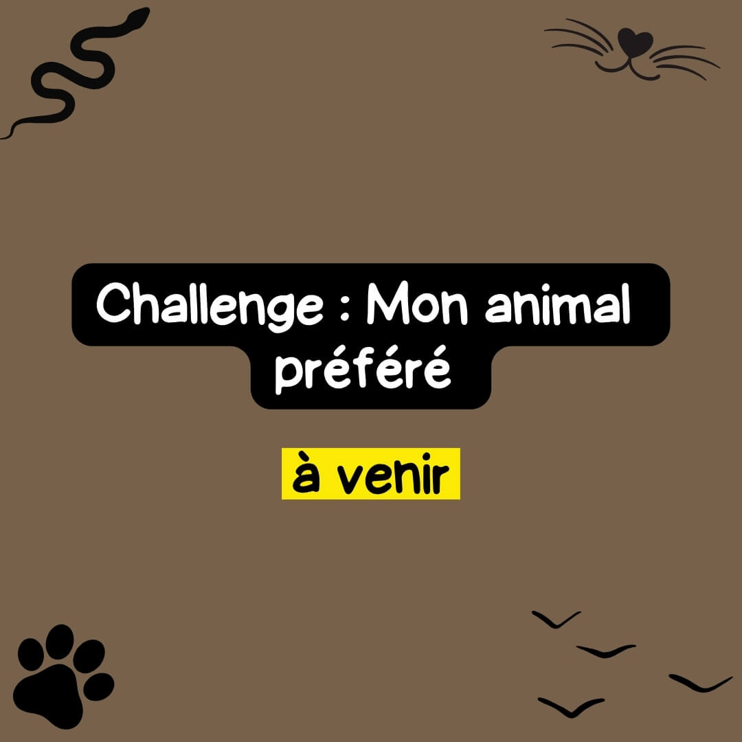 Animal en relief réalisé au stylo 3D Pen'Up lors du challenge