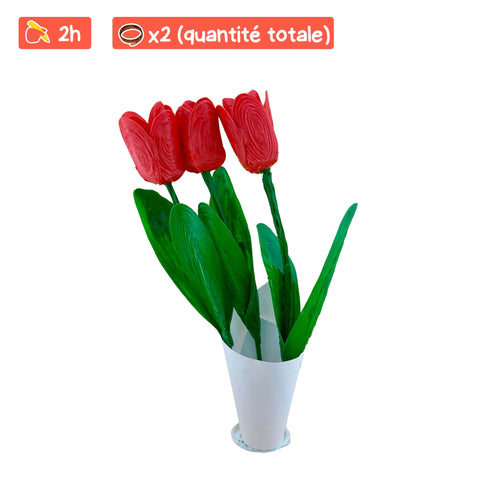Les Tulipes