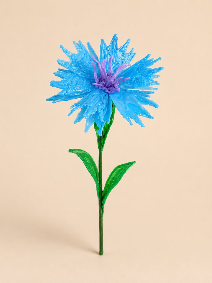 Bleuet