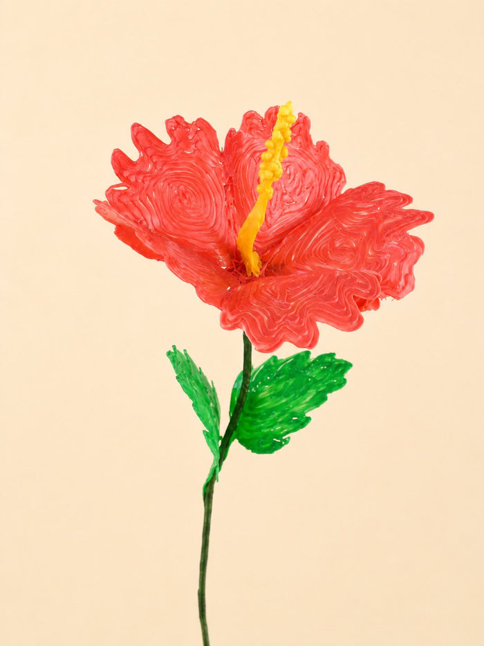 Hibiscus
