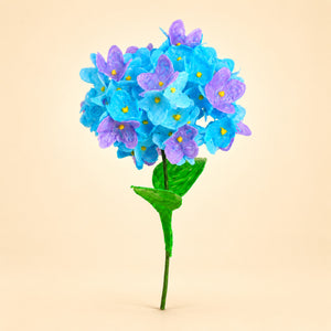 Hortensia