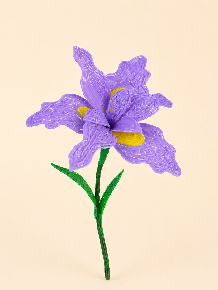 Iris