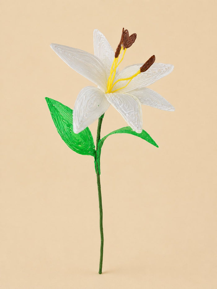 Lys