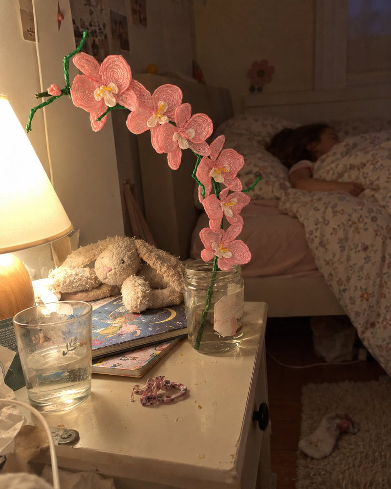 La orquídea vela. Seguirá ahí mañana por la mañana.