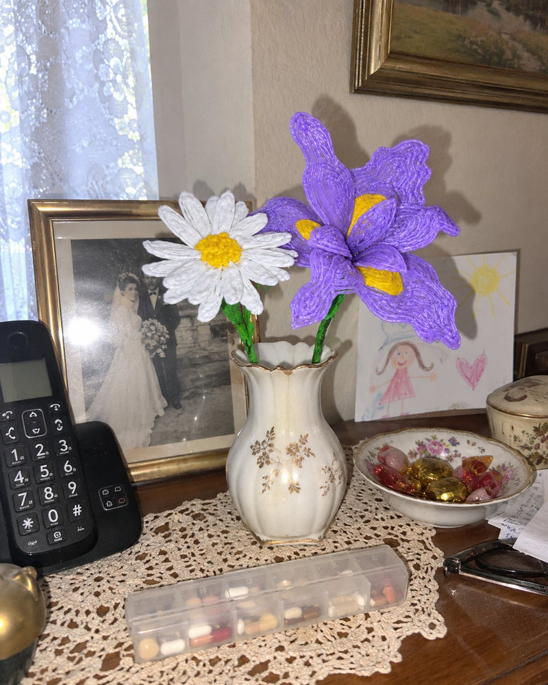 El iris se ha unido a los objetos que se guardan toda la vida.