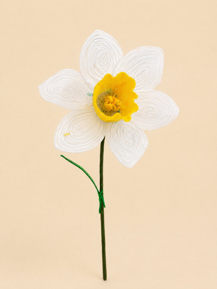 Narcisse