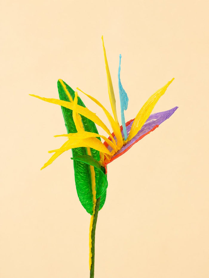 Oiseau de paradis