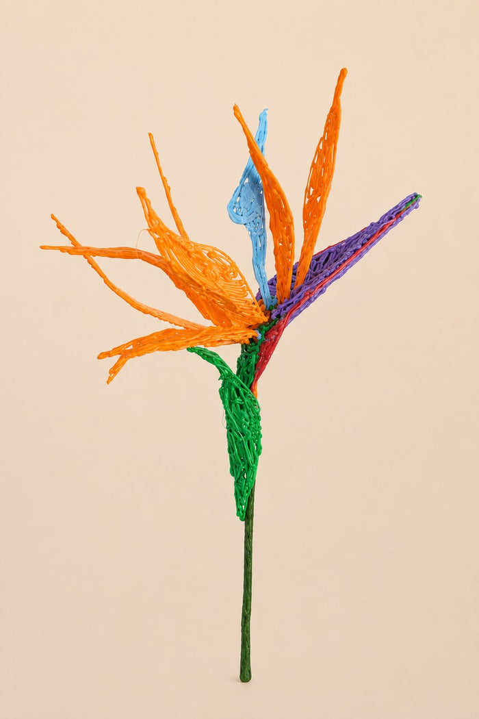 Strelitzia