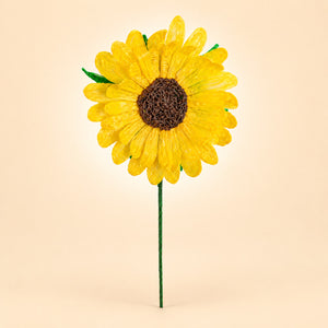 Girasol