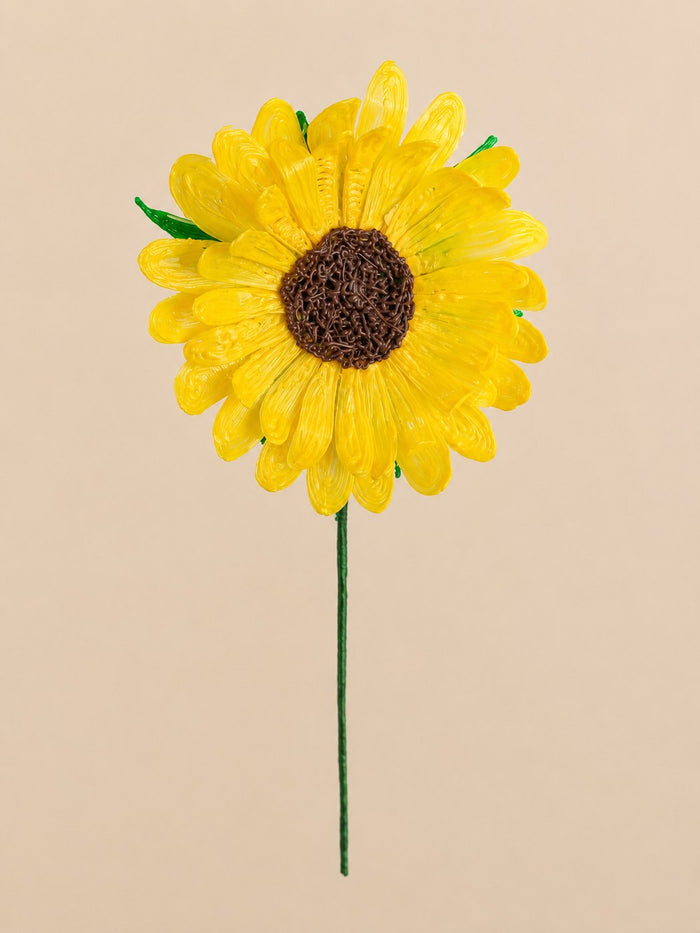 Tournesol