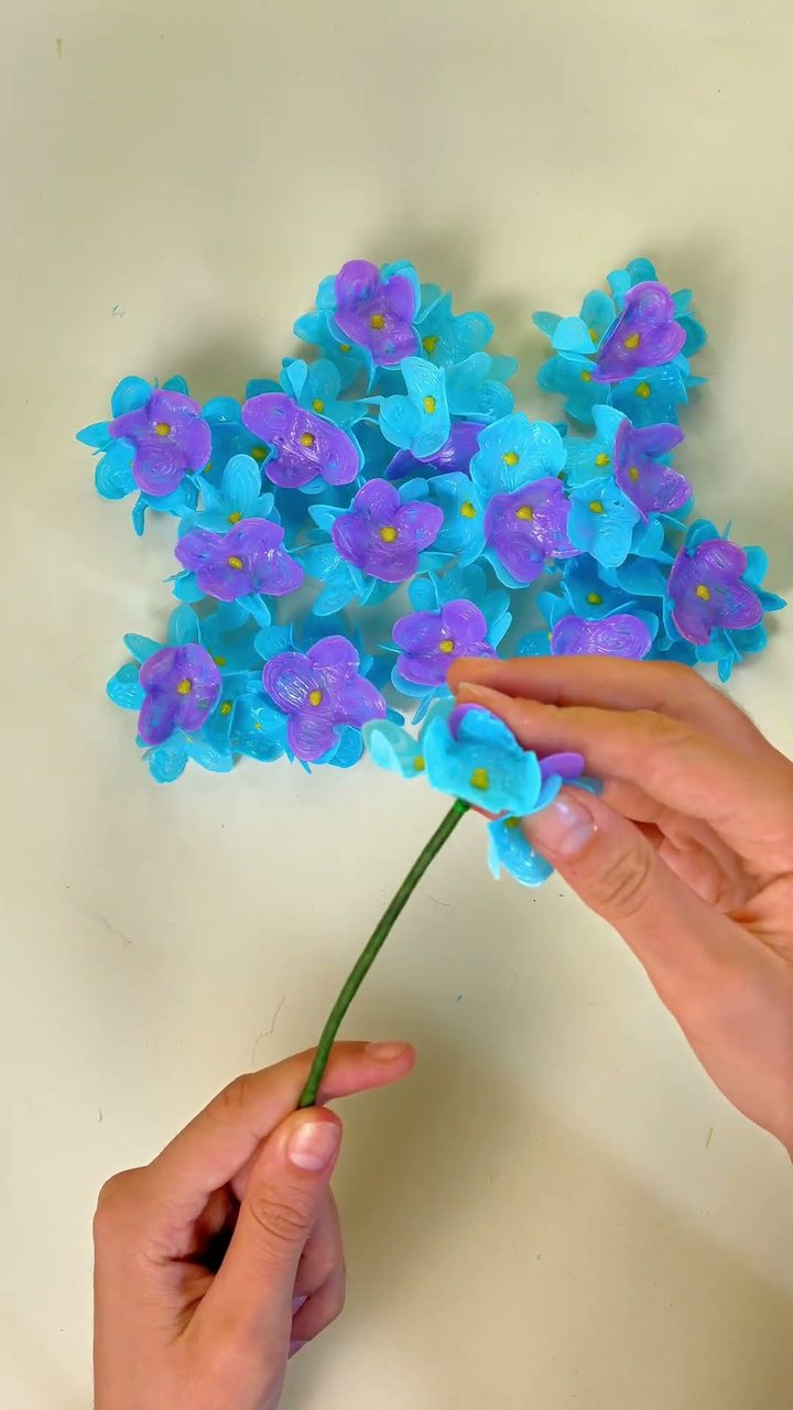 Hortensia