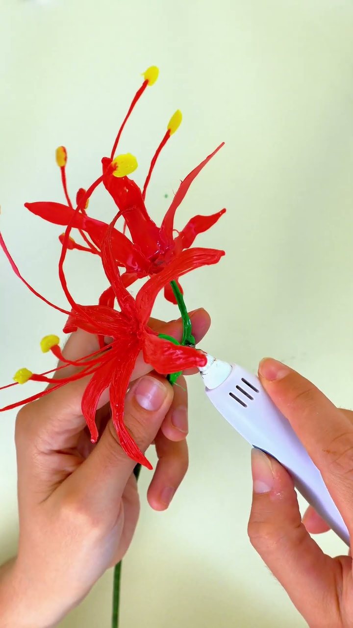 Lycoris radiata